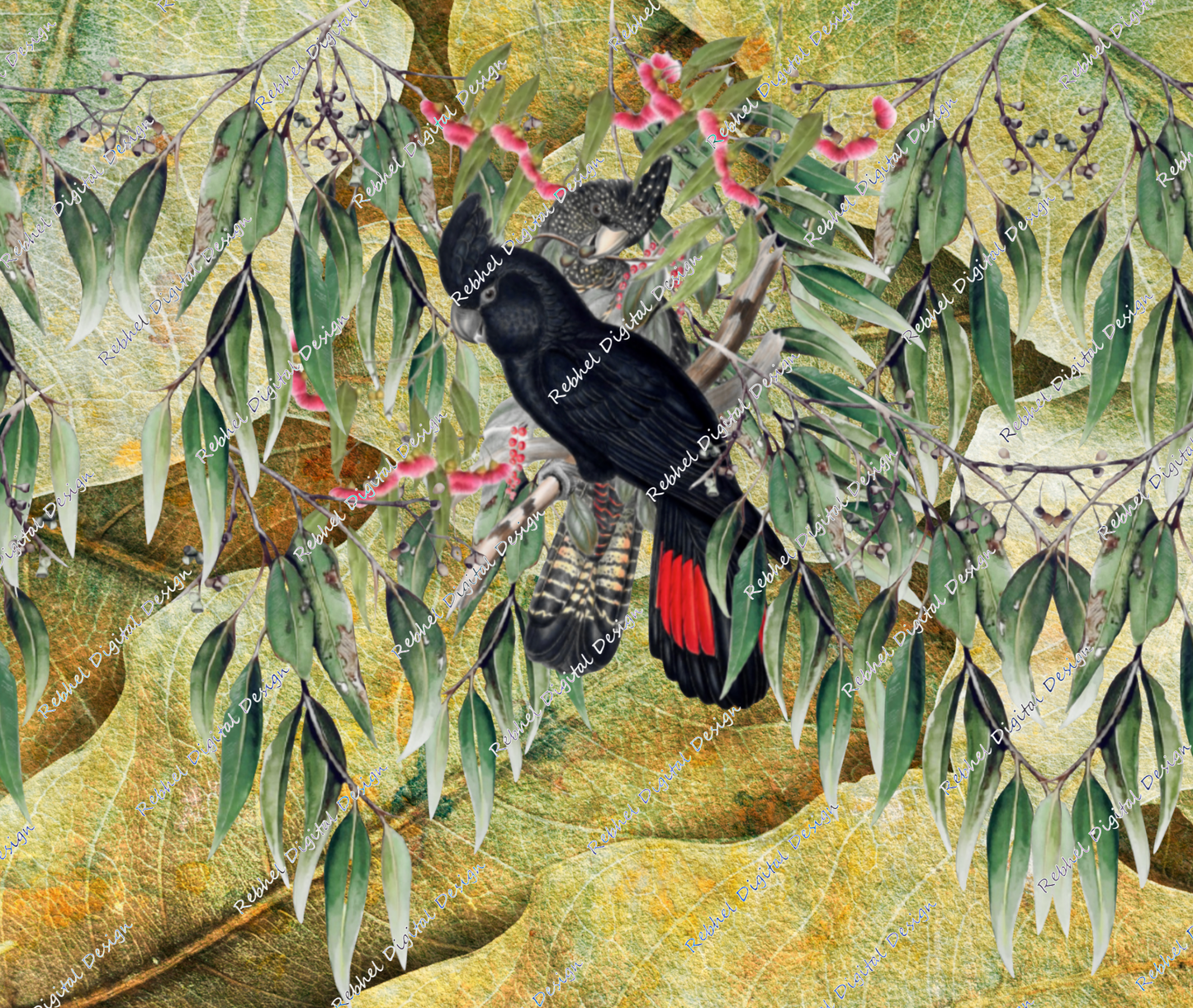 Black Cockatoos-Green background.