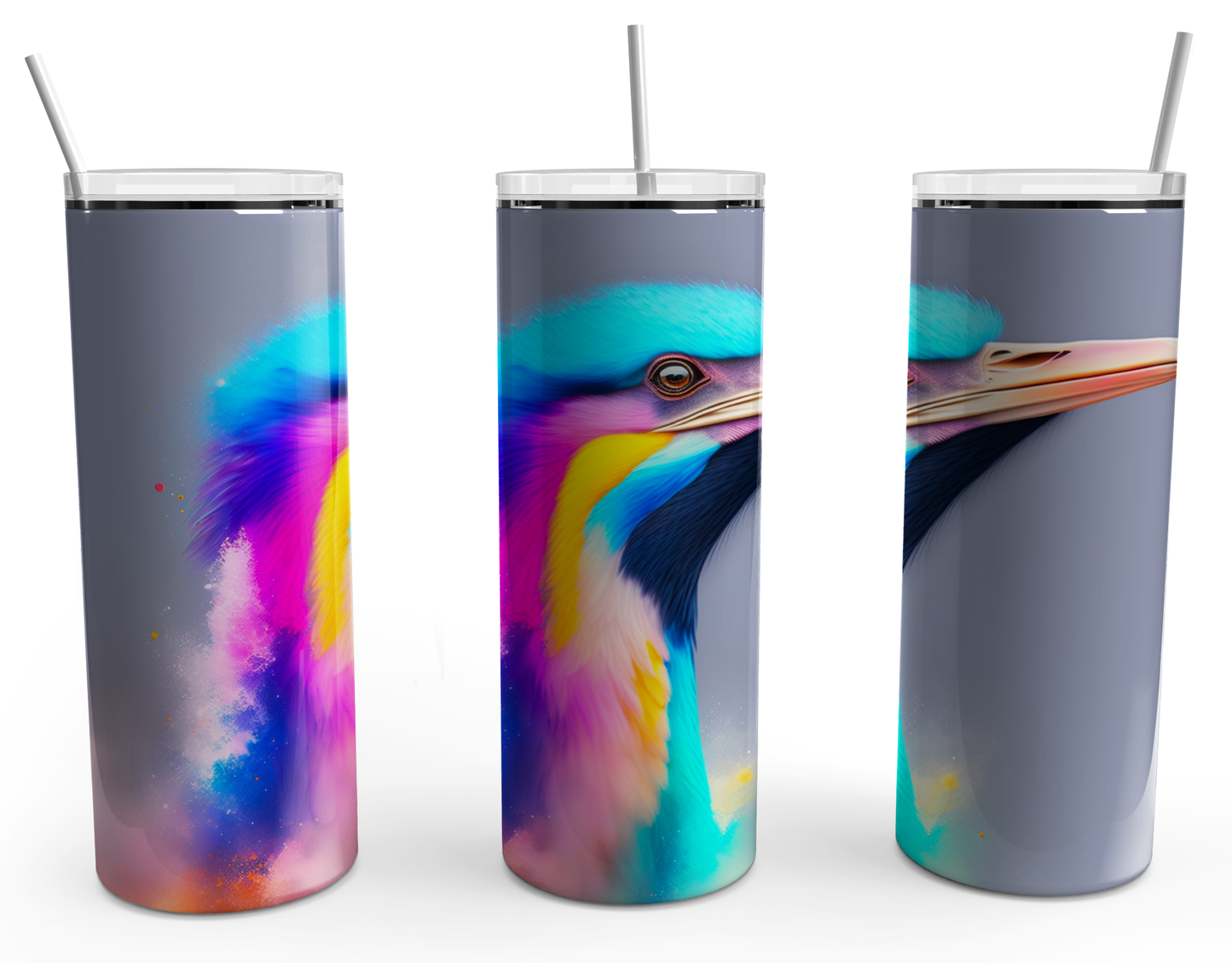 Beautiful Colour wash Bird