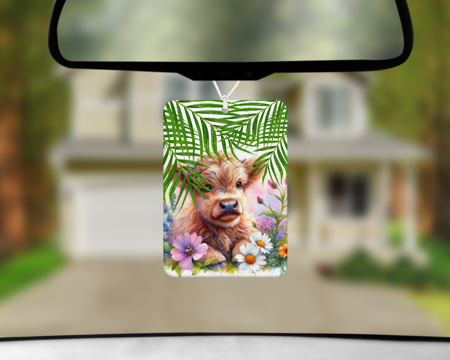 Car Freshies Collection 1