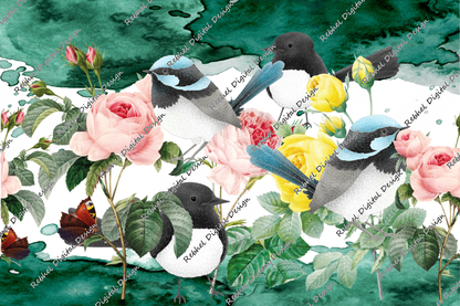 Aussie Robin and Willy Wag Tail-Amongst the Roses