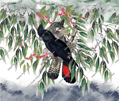 Black Cockatoos with Native floral Background.