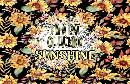 Ray of Fucking Sunshine©